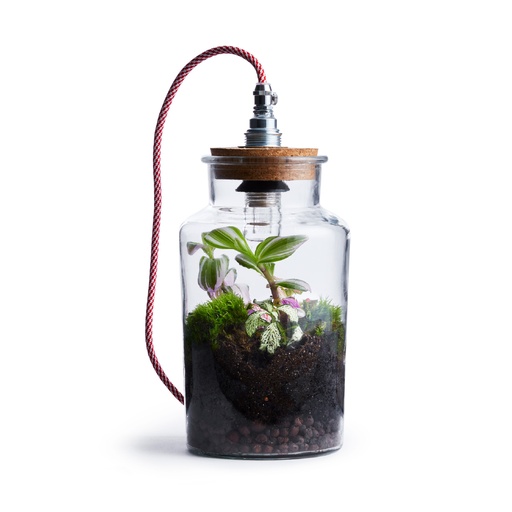 Mars One DIY